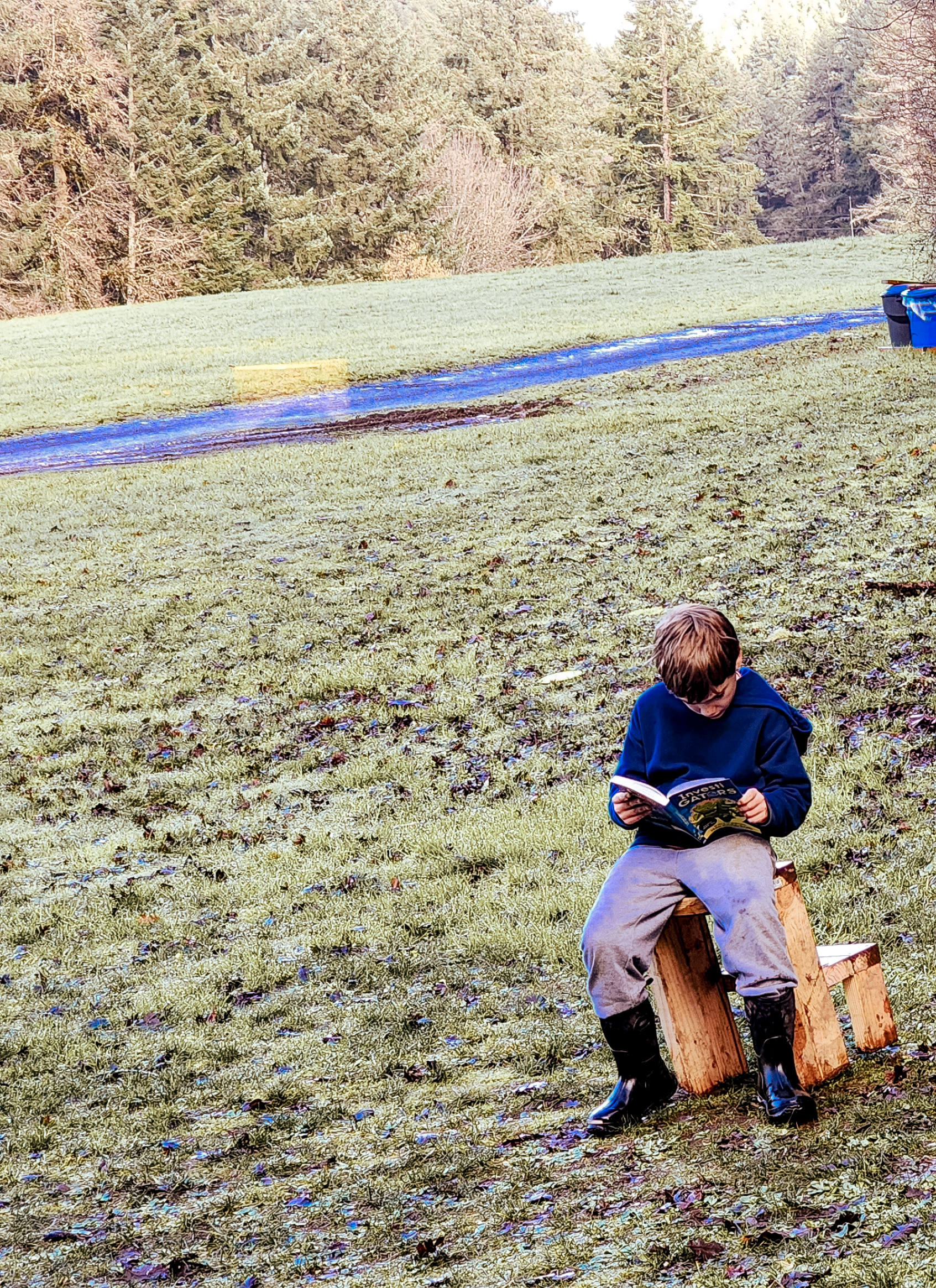 Learner Reading in Field - Forge: An Acton Academy Private School in Newberg, Oregon