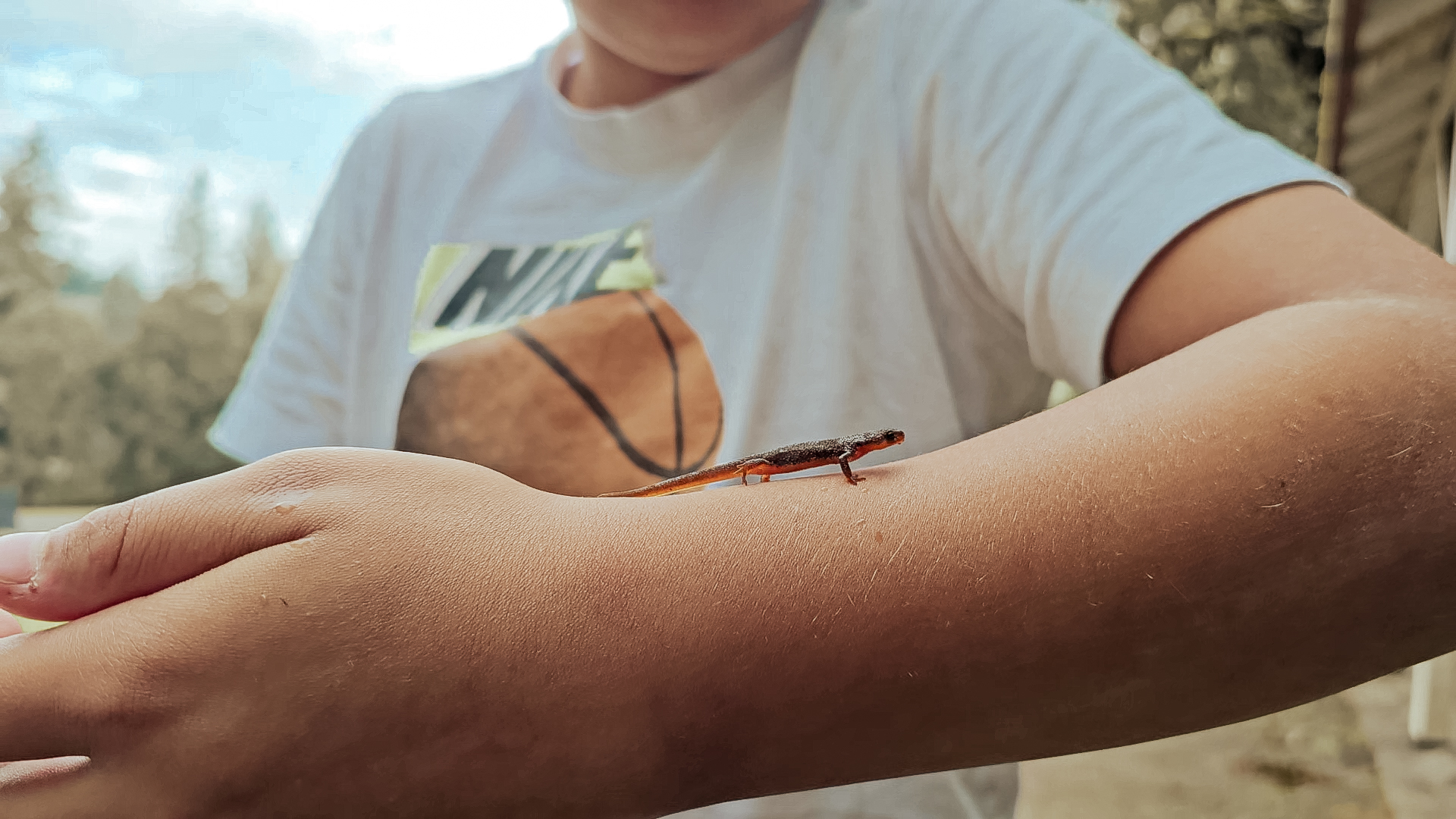 Learner with Newt - Forge: An Acton Academy Private School in Newberg, Oregon