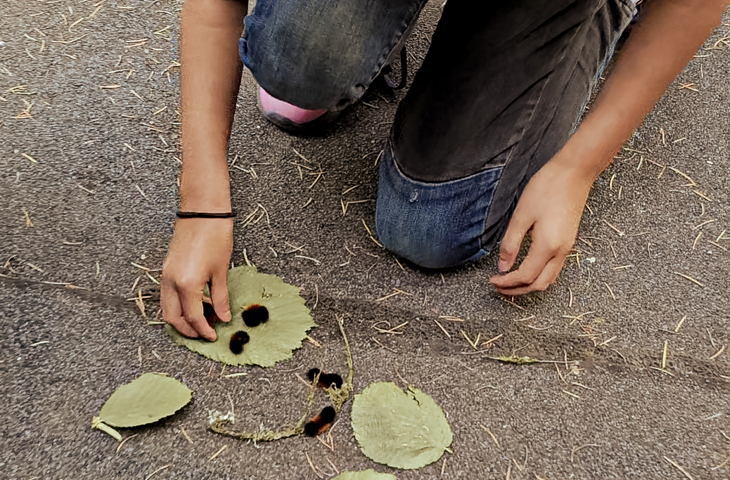 Lunch Caterpillars - Forge: An Acton Academy Private School in Newberg, Oregon