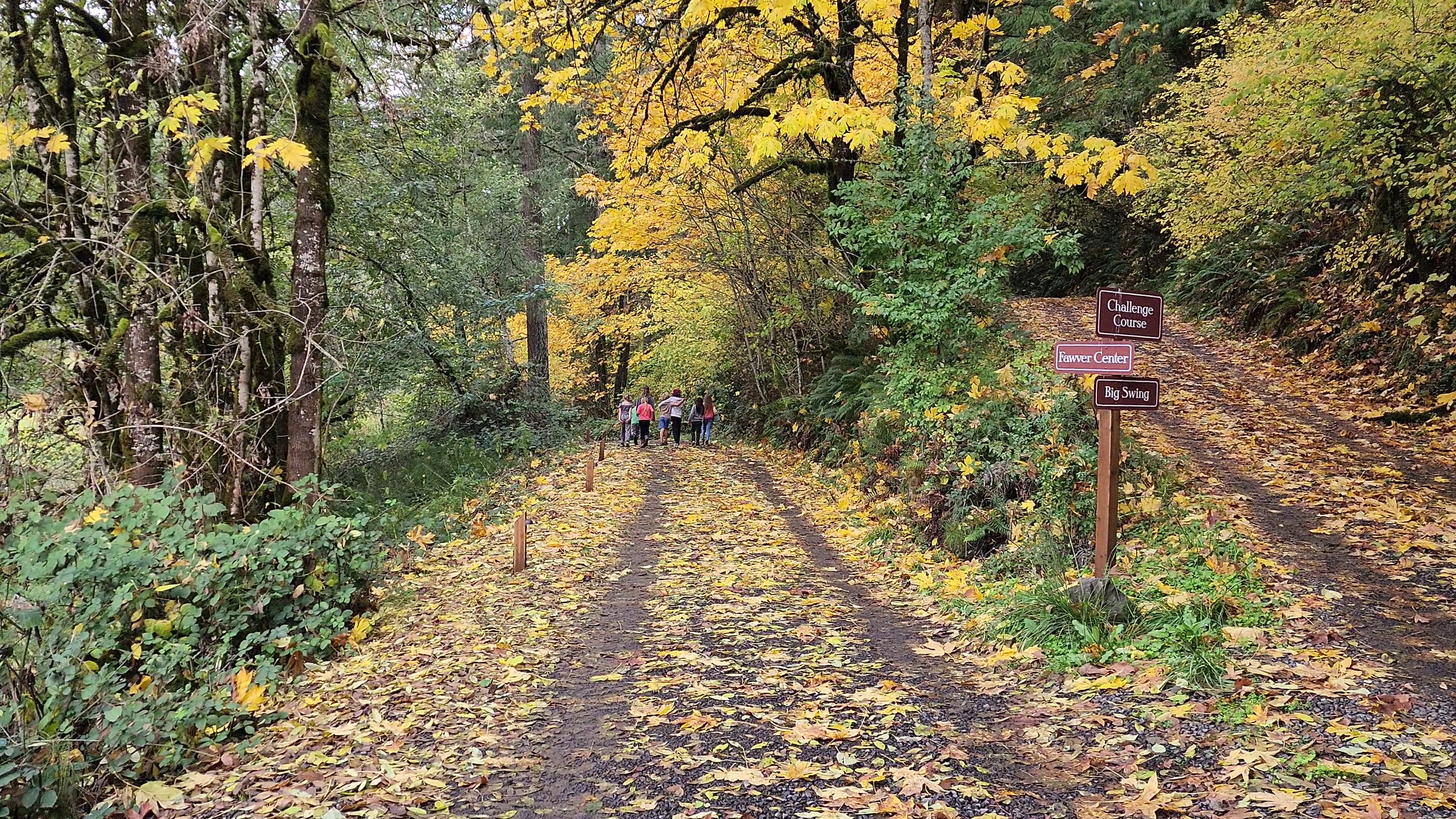 Path From Schoolhouse